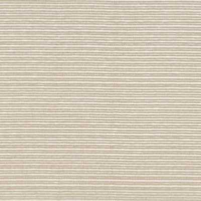 CASAMANCE_47040392.jpg