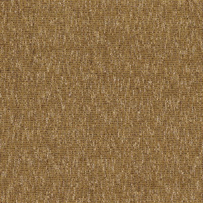 CASAMANCE_33193124.jpg