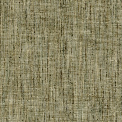 CASAMANCE_42541610.jpg