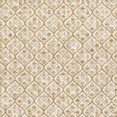 CASAMANCE_46250267.jpg