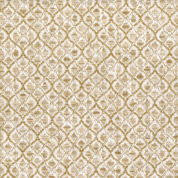CASAMANCE_46250267.jpg
