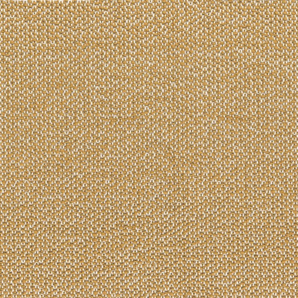 CASAMANCE_47350546.jpg