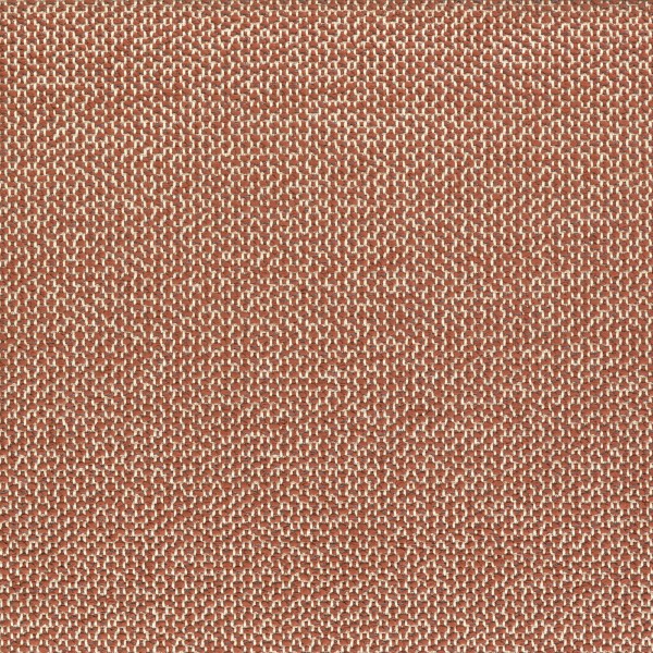 CASAMANCE_47350611.jpg