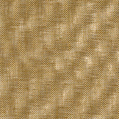 CASAMANCE_25850298.jpg