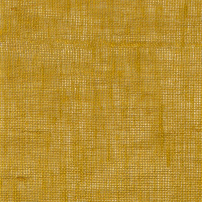 CASAMANCE_25853070.jpg