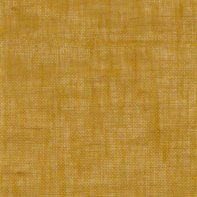 CASAMANCE_25853169.jpg