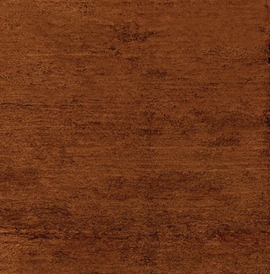 CASAMANCE_48691230.jpg