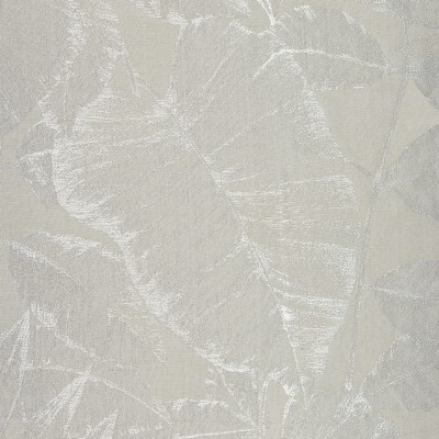 CASAMANCE_40930126.jpg