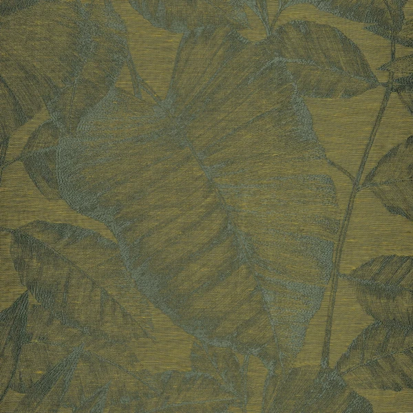 CASAMANCE_40930250.jpg