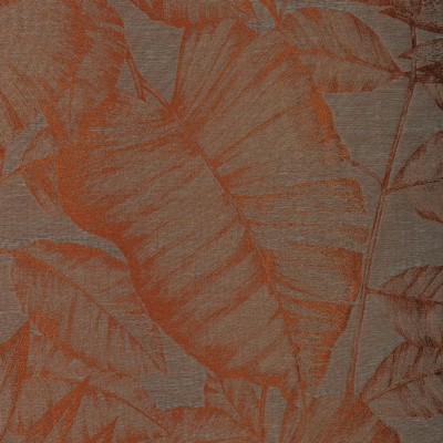 CASAMANCE_40930359.jpg