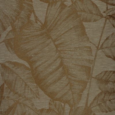 CASAMANCE_40930410.jpg