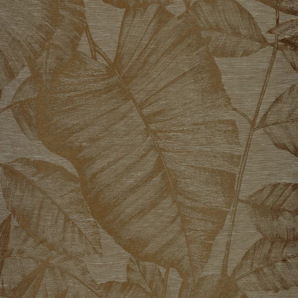 CASAMANCE_40930410.jpg