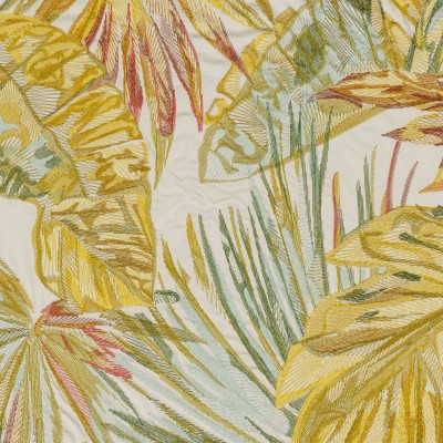 CASAMANCE_42180245.jpg