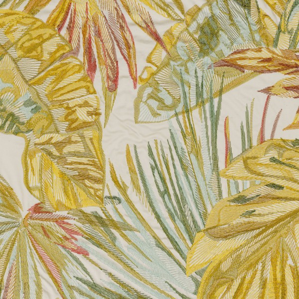CASAMANCE_42180245.jpg