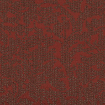 CASAMANCE_42200130.jpg