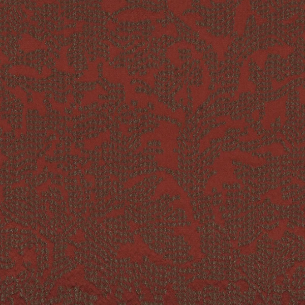 CASAMANCE_42200130.jpg