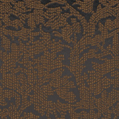 CASAMANCE_42200313.jpg