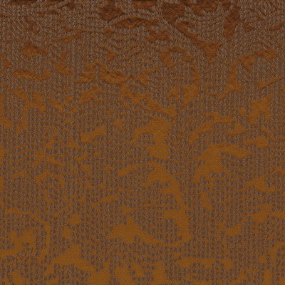 CASAMANCE_42200616.jpg
