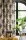 77043.webp