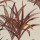 CASAMANCE_42210108.jpg