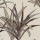 CASAMANCE_42210367.jpg