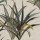 CASAMANCE_42210477.jpg
