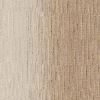 CASAMANCE_42220355.jpg