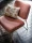 86623.webp