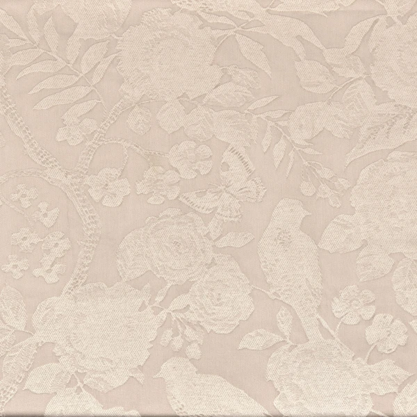 CASAMANCE_43110333.jpg