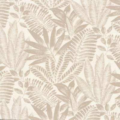 CASAMANCE_47470134.jpg