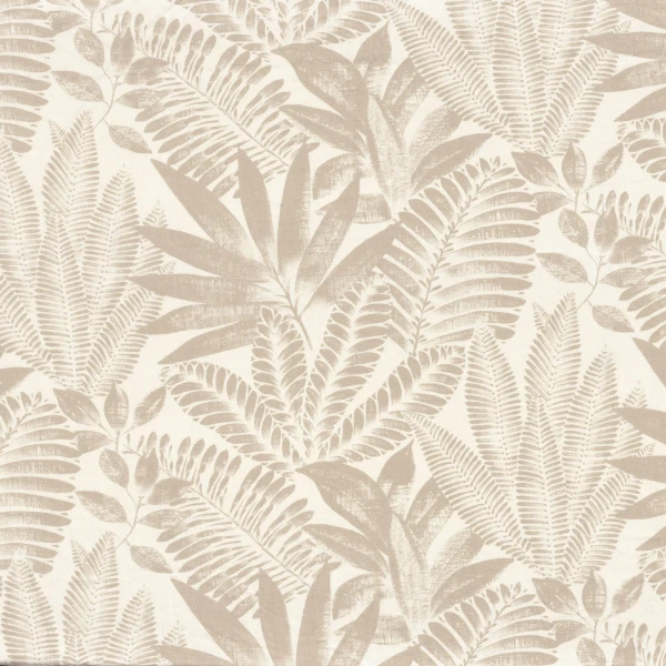 CASAMANCE_47470134.jpg