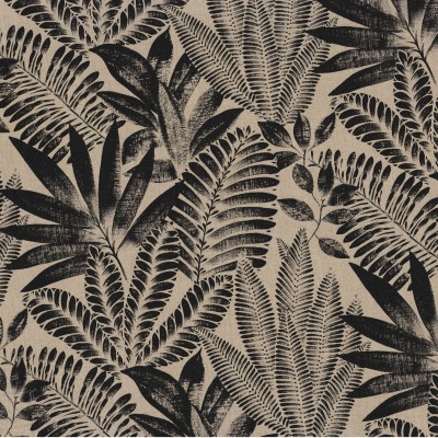 CASAMANCE_47470258.jpg