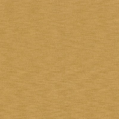 CASAMANCE_49902376.jpg