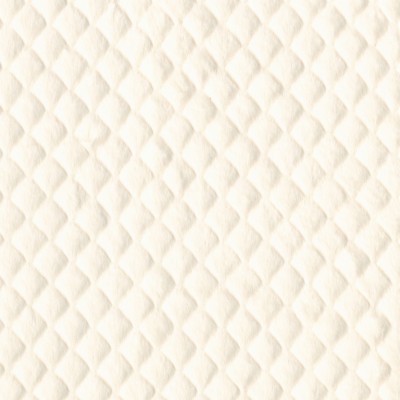 CASAMANCE_47620101.jpg