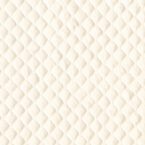 CASAMANCE_47620101.jpg