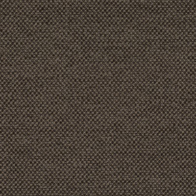 CASAMANCE_42500465.jpg