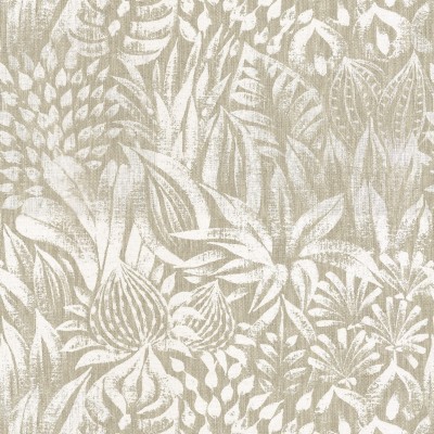 CASAMANCE_48410131.jpg