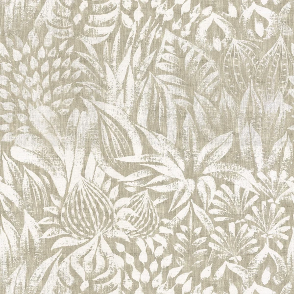 CASAMANCE_48410131.jpg