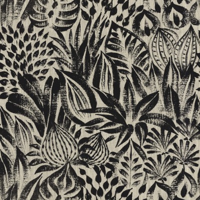 CASAMANCE_48410214.jpg