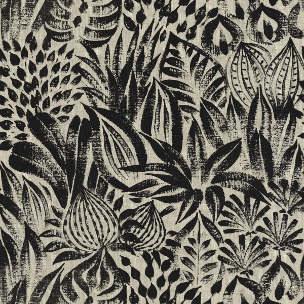 CASAMANCE_48410214.jpg