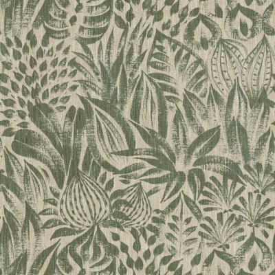 CASAMANCE_48410392.jpg