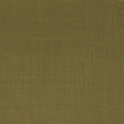 CASAMANCE_49912323.jpg