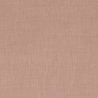CASAMANCE_49912828.jpg