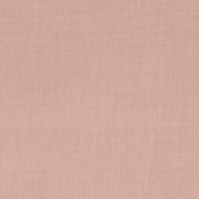 CASAMANCE_49912929.jpg