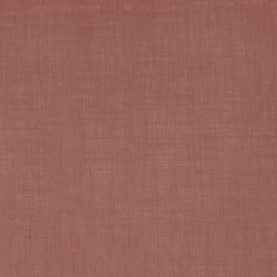 CASAMANCE_49913030.jpg