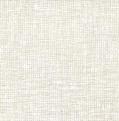 CASAMANCE_44700155.jpg