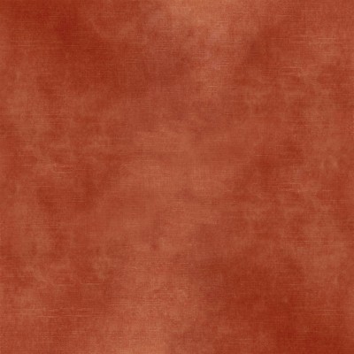 CASAMANCE_42481630.jpg
