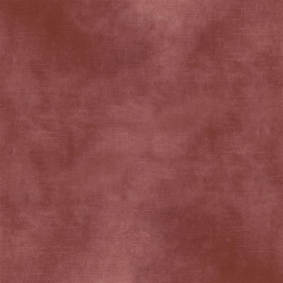 CASAMANCE_42481836.jpg