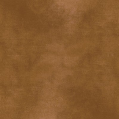 CASAMANCE_42483843.jpg