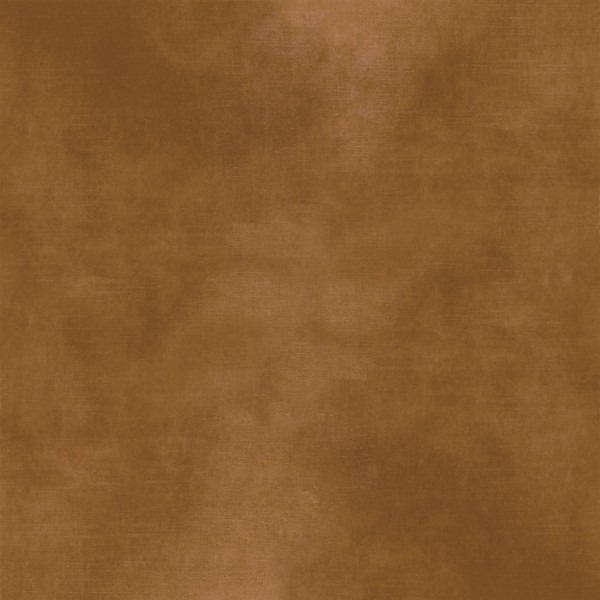 CASAMANCE_42483843.jpg